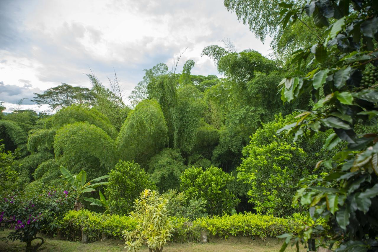 Finca Villa Gregory Quimbaya Exterior photo